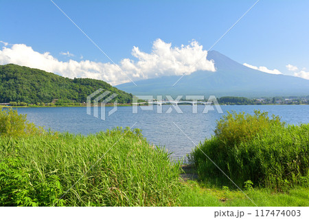 富士山 河口湖 富士山 河口湖 117474003