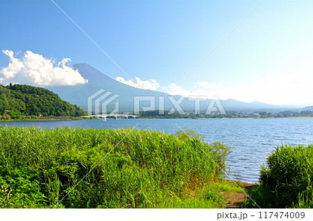 富士山 河口湖 富士山 河口湖 117474009