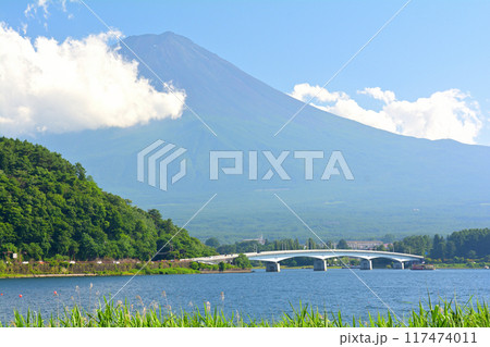 富士山 河口湖 富士山 河口湖 117474011