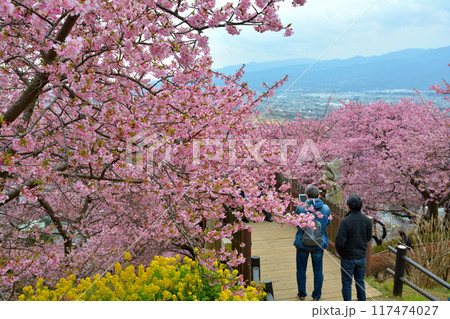 神奈川 西平畑公園 神奈川 西平畑公園 117474027