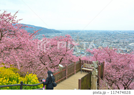 神奈川　西平畑公園 117474028