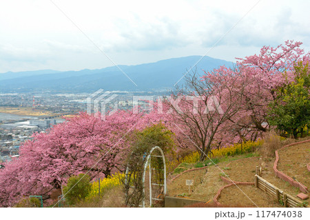 神奈川　西平畑公園 117474038