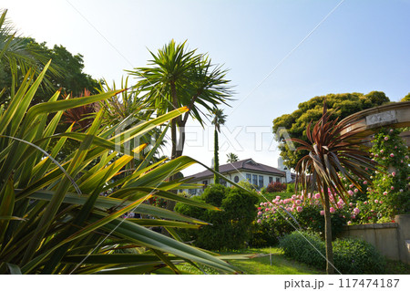 横浜・港の見える丘公園 117474187