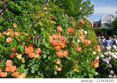 横浜・港の見える丘公園 117474203