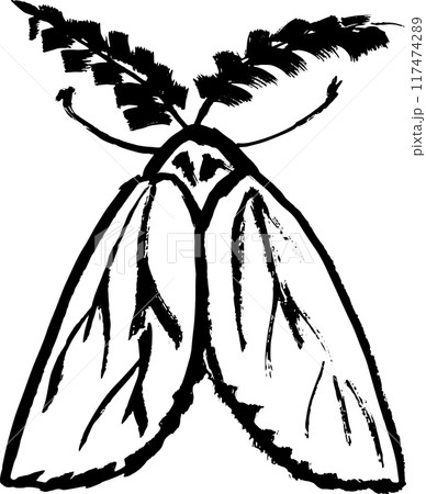 Grunge Hand Drawn Ink Brush Night Moth Grunge Hand Drawn Ink Brush Night Moth 117474289