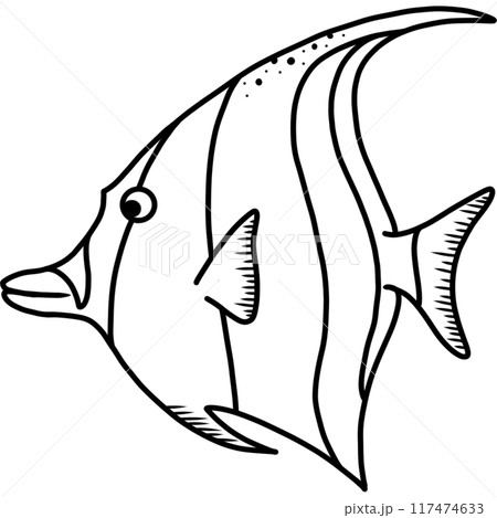 Moorish idol 117474633