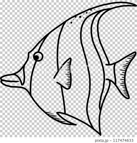 Moorish idol 117474633