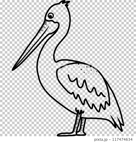 Pelican 117474634