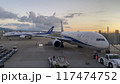 駐機場に駐機するANAの飛行機 117474752