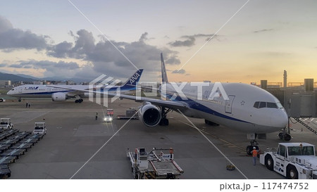 駐機場に駐機するANAの飛行機 117474752