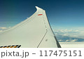 飛行機の翼と空 117475151