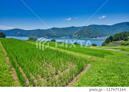 棚田のある風景 棚田のある風景 117475164