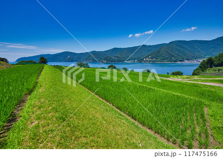 棚田のある風景 117475166