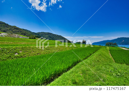棚田のある風景 117475167