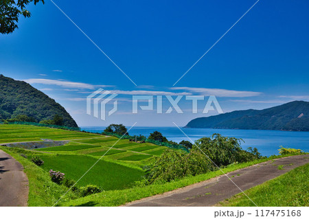 棚田のある風景 棚田のある風景 117475168
