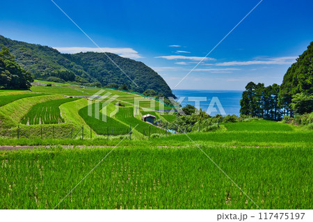 棚田のある風景 117475197