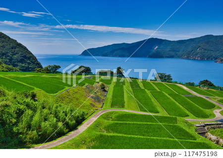 棚田のある風景 117475198