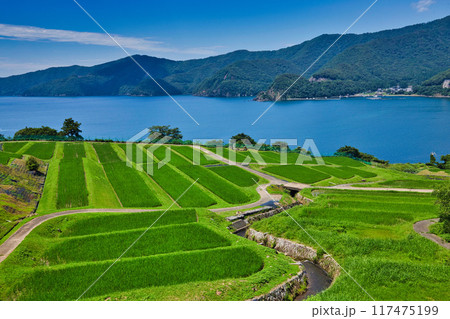 棚田のある風景 棚田のある風景 117475199