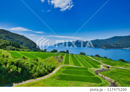 棚田のある風景 117475200