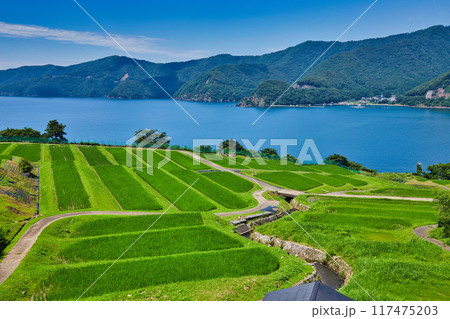 棚田のある風景 棚田のある風景 117475203