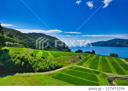 棚田のある風景 117475204