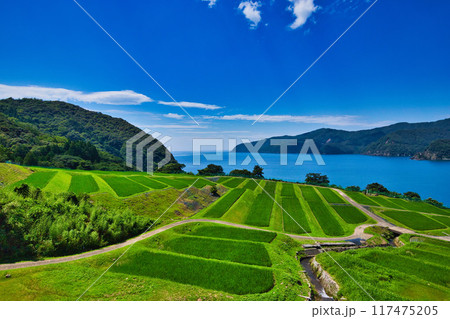 棚田のある風景 117475205