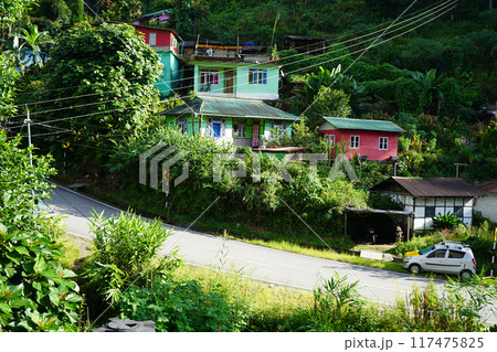 Road goes through lightam village of Sikkim Road goes through lightam village of Sikkim 117475825