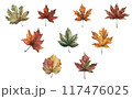 もみじのイラストセット 117476025