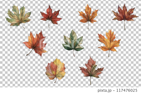 もみじのイラストセット 117476025