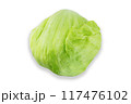 Green iceberg lettuce isolated on white background with clipping path 117476102