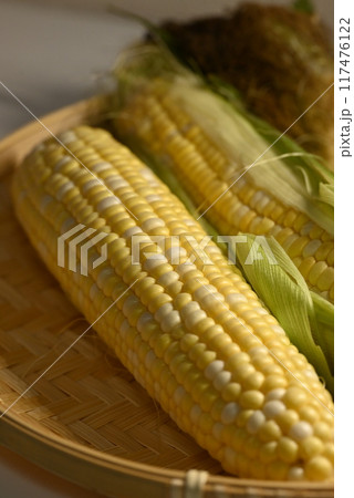 粒の詰まったトウモロコシ 粒の詰まったトウモロコシ 117476122