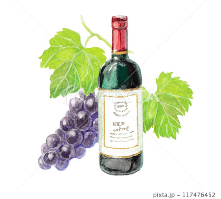 水彩絵の具で描いた赤ワインと葡萄のイメージ 117476452