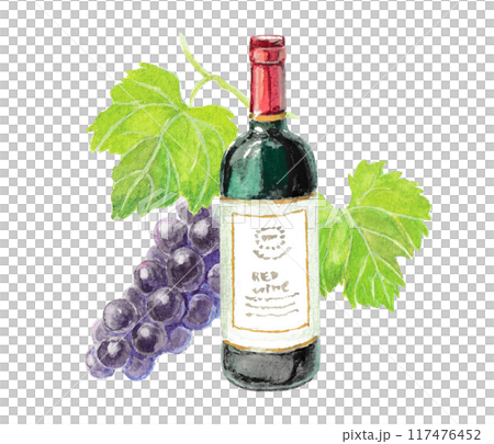 Watercolor image of red wine and grapes 117476452