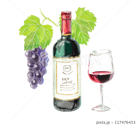 水彩絵の具で描いた赤ワインと葡萄のイメージ 水彩絵の具で描いた赤ワインと葡萄のイメージ 117476453