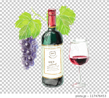 用水彩畫的紅酒和葡萄的圖像 117476453