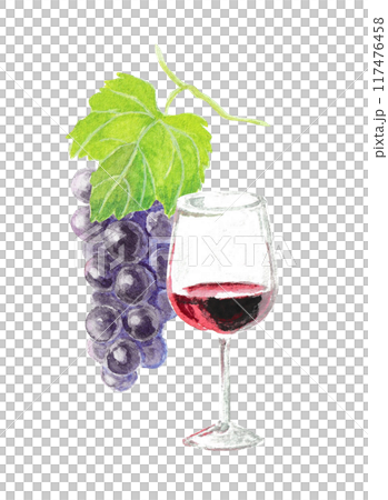 水彩絵の具で描いた赤ワインとぶどう 117476458