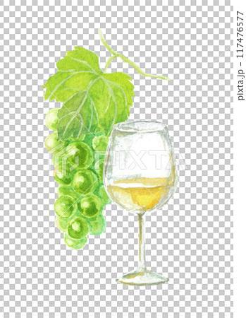 水彩絵の具で描いた白ワインとぶどう 117476577