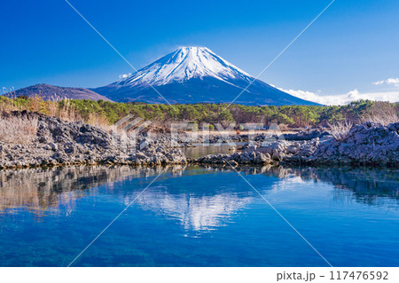 【山梨県】本栖湖畔の溶岩地帯から望む富士山 117476592