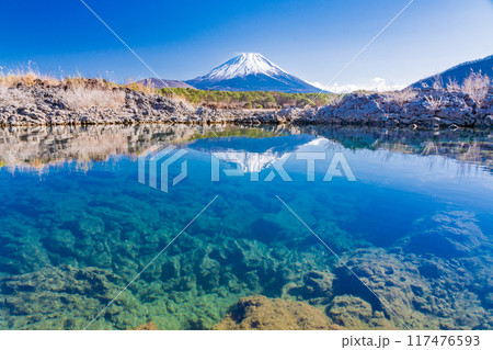 【山梨県】本栖湖畔の溶岩地帯から望む富士山 117476593