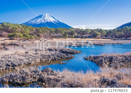 【山梨県】本栖湖畔の溶岩地帯から望む富士山 【山梨県】本栖湖畔の溶岩地帯から望む富士山 117476633