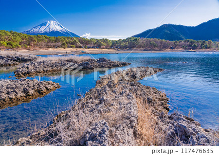 【山梨県】本栖湖畔の溶岩地帯から望む富士山 117476635