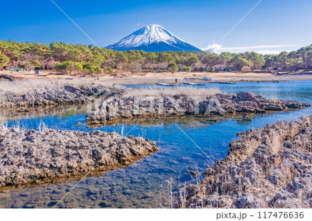 【山梨県】本栖湖畔の溶岩地帯から望む富士山 【山梨県】本栖湖畔の溶岩地帯から望む富士山 117476636