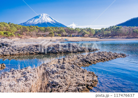 【山梨県】本栖湖畔の溶岩地帯から望む富士山 117476637