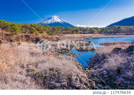 【山梨県】本栖湖畔の溶岩地帯から望む富士山 117476639
