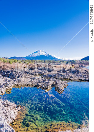 【山梨県】本栖湖畔の溶岩地帯から望む富士山 【山梨県】本栖湖畔の溶岩地帯から望む富士山 117476643