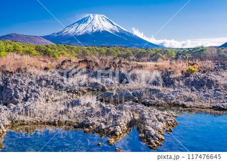 【山梨県】本栖湖畔の溶岩地帯から望む富士山 117476645