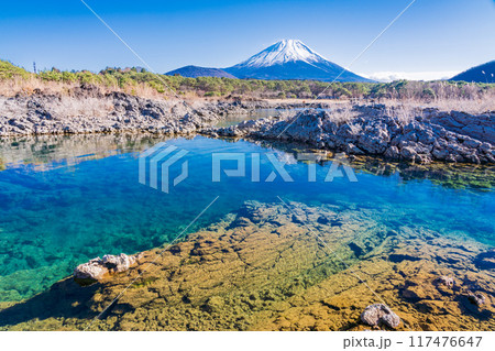 【山梨県】本栖湖畔の溶岩地帯から望む富士山 117476647