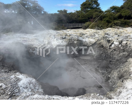 ニュージーランド北島・ワイオタプサーマルワンダーランド ニュージーランド北島・ワイオタプサーマルワンダーランド 117477226