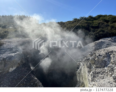 ニュージーランド北島・ワイオタプサーマルワンダーランド ニュージーランド北島・ワイオタプサーマルワンダーランド 117477228