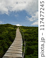 大山山頂 117477245